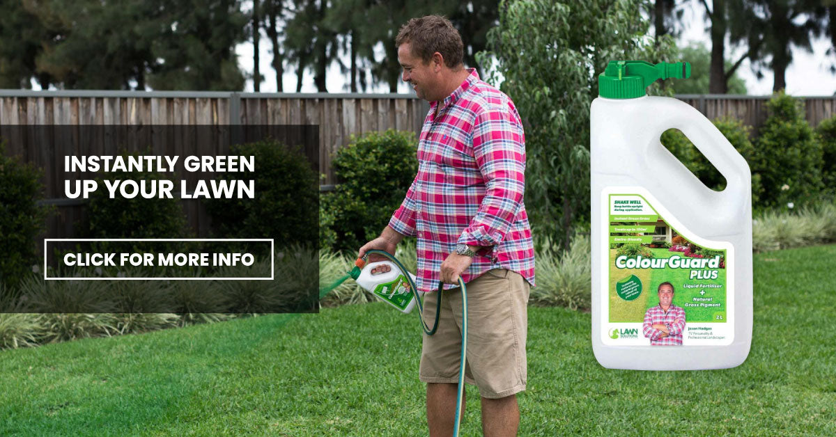 Instantly Green Up Your Lawn