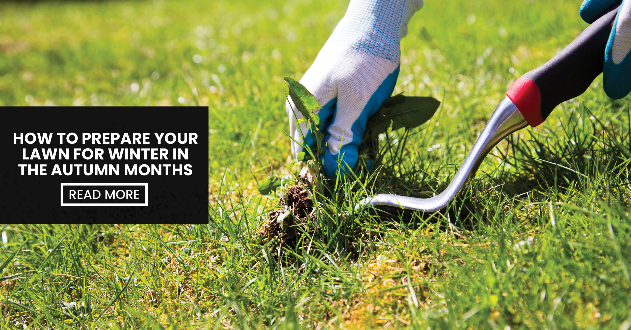 Blog - Lead Image (How To Prepare Your Lawn For Winter In The Autumn Months) WEB-VERSION