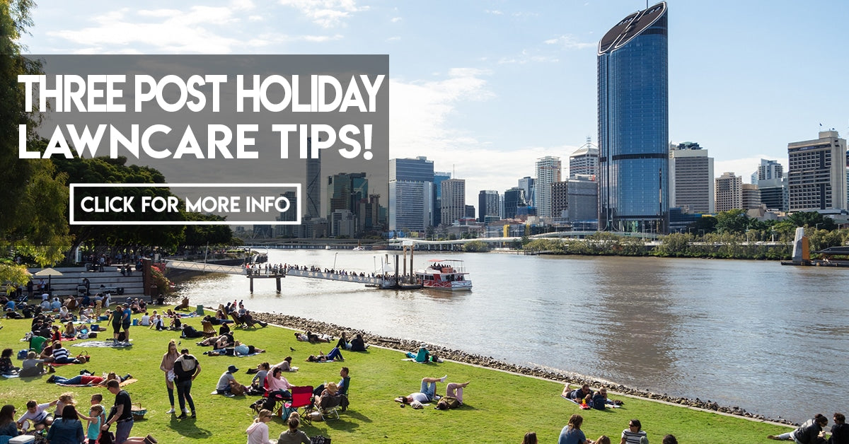 Three post holiday lawncare tips