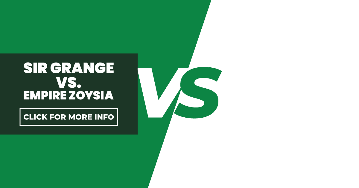 Sir Grange Zoysia vs Empire Zoysia