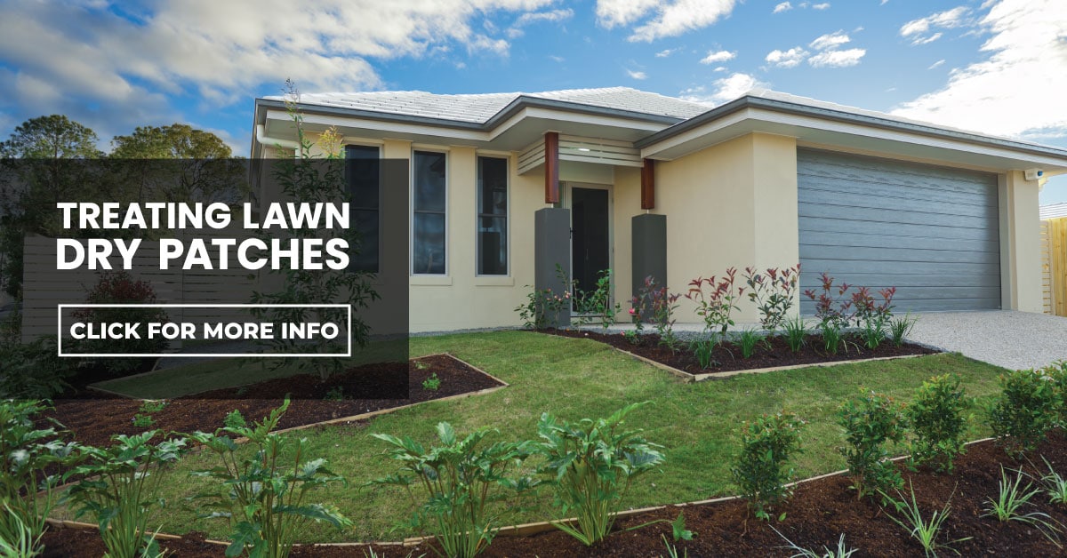Treating lawn dry patches