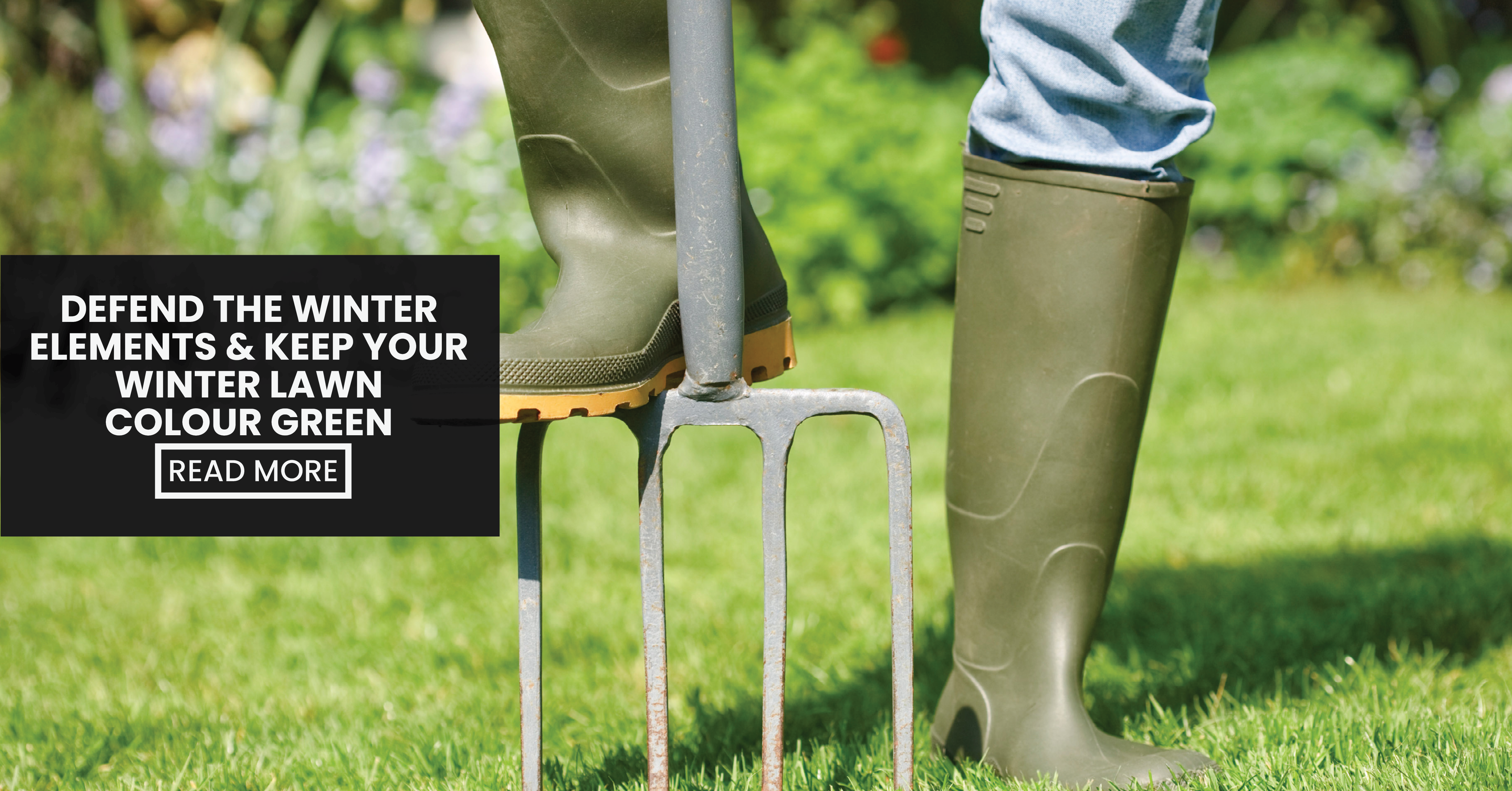 Defend The Winter Elements & Keep Your Winter Lawn Colour Green