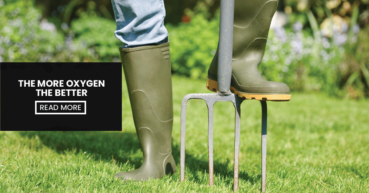 Blog - Cover Image (Lawn Aeration - It Is Time To Help Your Lawn Breathe)