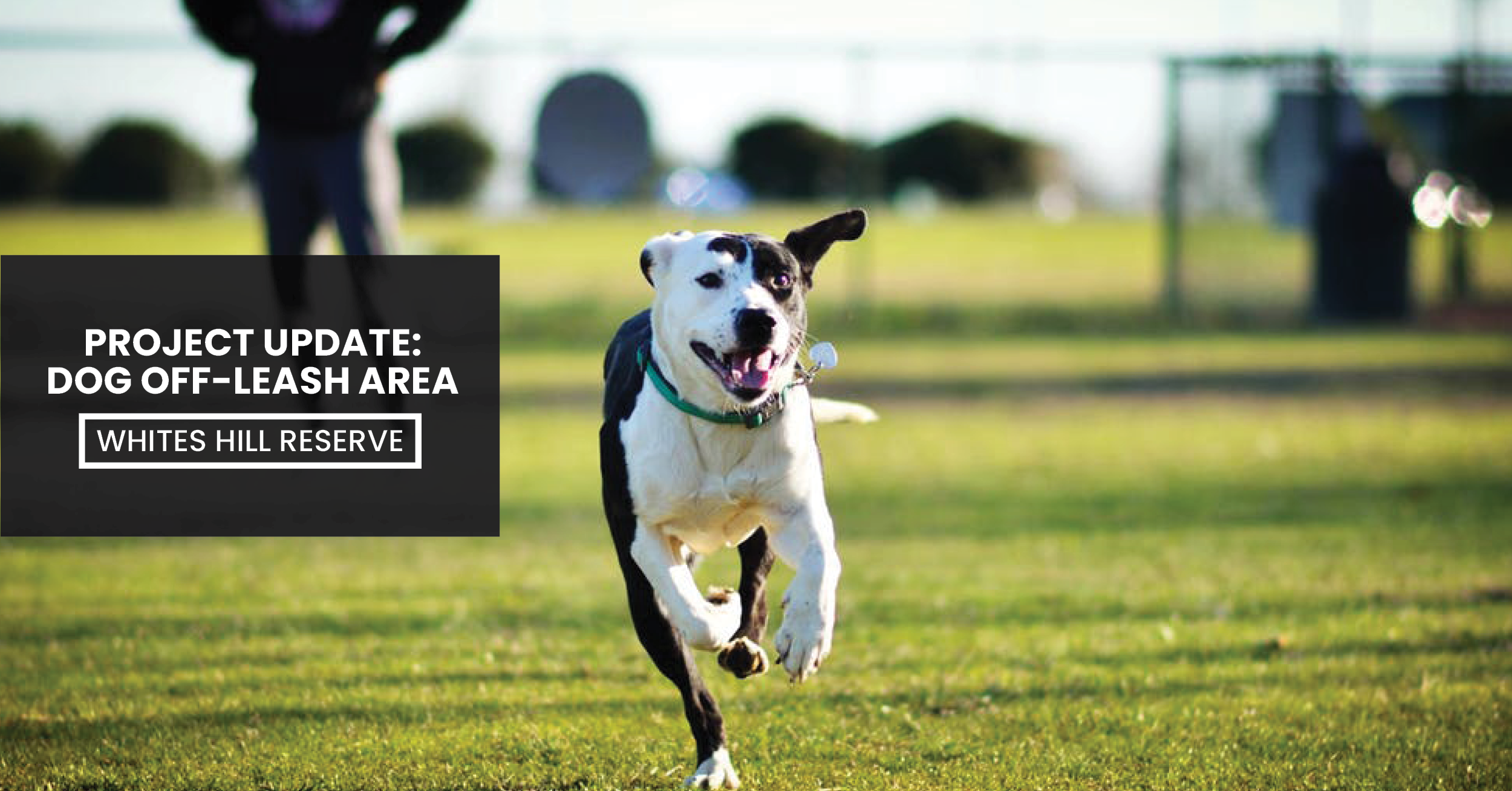 Image - Project Update: Whites Hill Reserve Dog Off-Leash Area Blog (Jimboomba Turf Group)